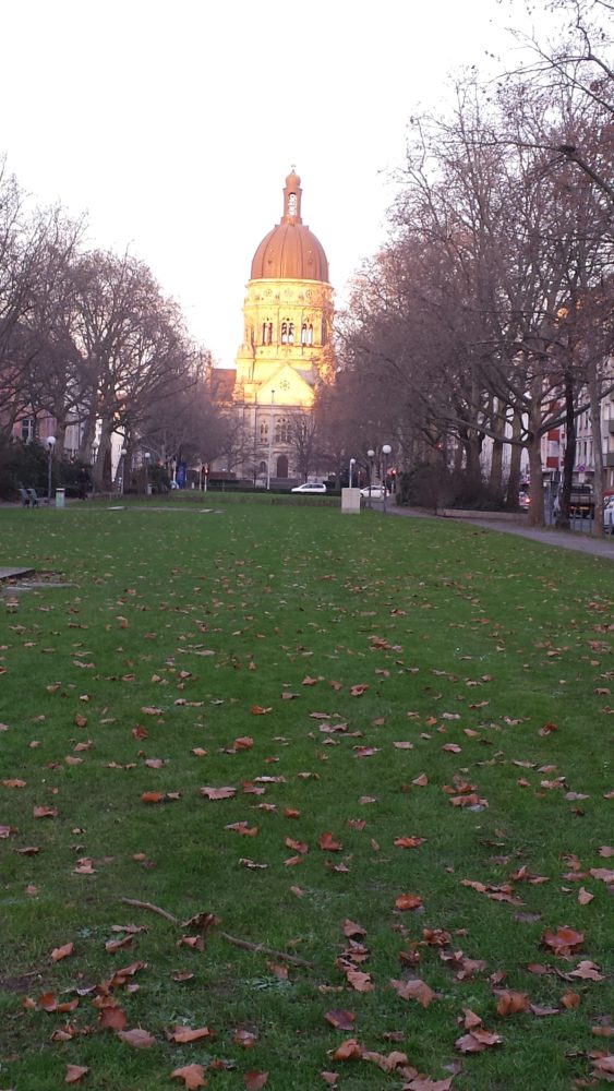 Meine liebste Kirche in Mainz: die Christuskirche. An diesem Tag gab es einfach ein herrliches Licht, das ich zum Fotografieren unbedingt ausnutzen wollte. Ich bin also richtiggehend gesprintet und habe gleich freudig abgedrückt. So kam dieses "goldige" Bild heraus