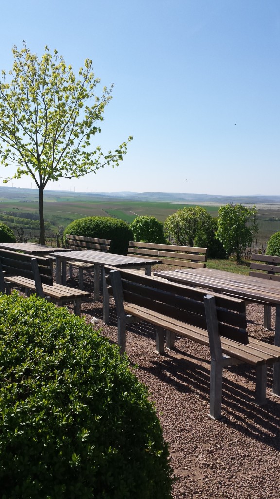 Rast auf dem Adelberg in Flonheim