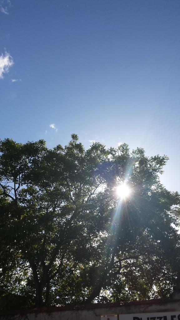 Bei so einem Wetter kann die Wanderung ja nur gut werden