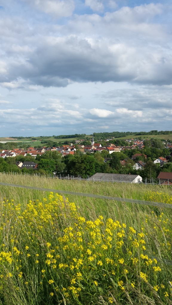 Traumhafter Blick über Elsheim