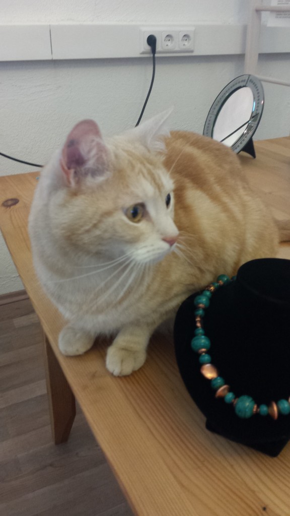 Immer dabei: Kater Paul. Er liebt Nutella, Kaffee und Nachos und natürlich Ingrid Borsts Schmuck