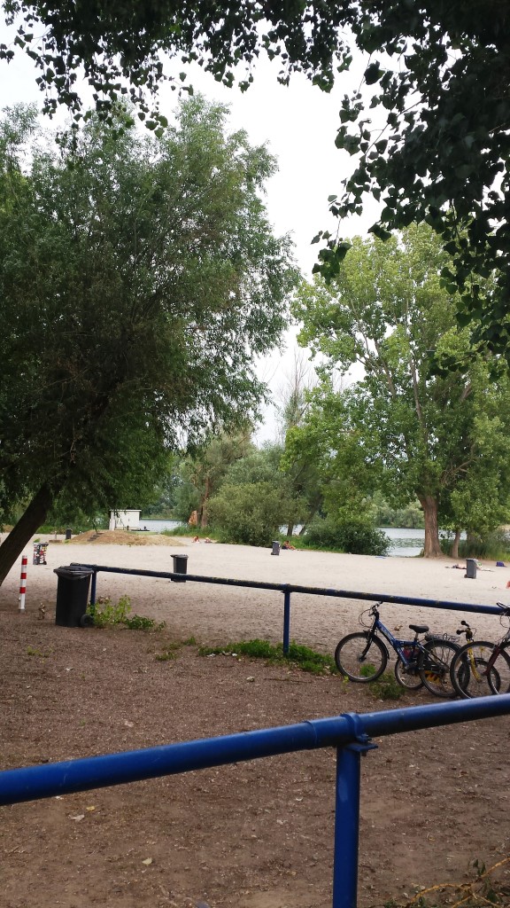 Wir sind nun am Badestrand des Altrheinsees angelangt
