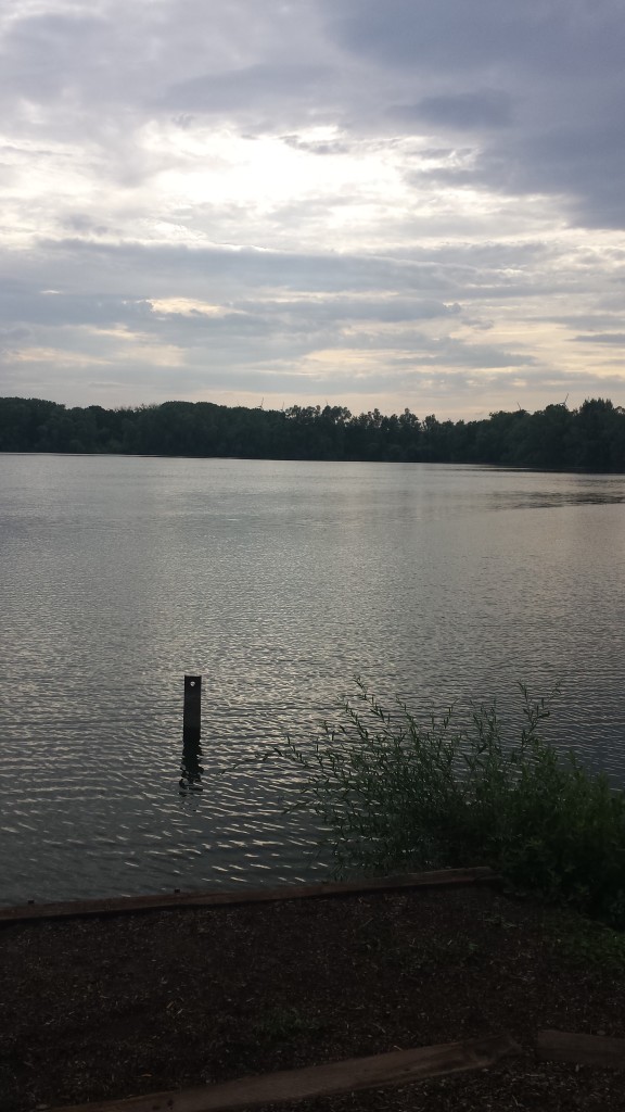 Der Niederrheinsee: Fast zu schön, um wahr zu sein!