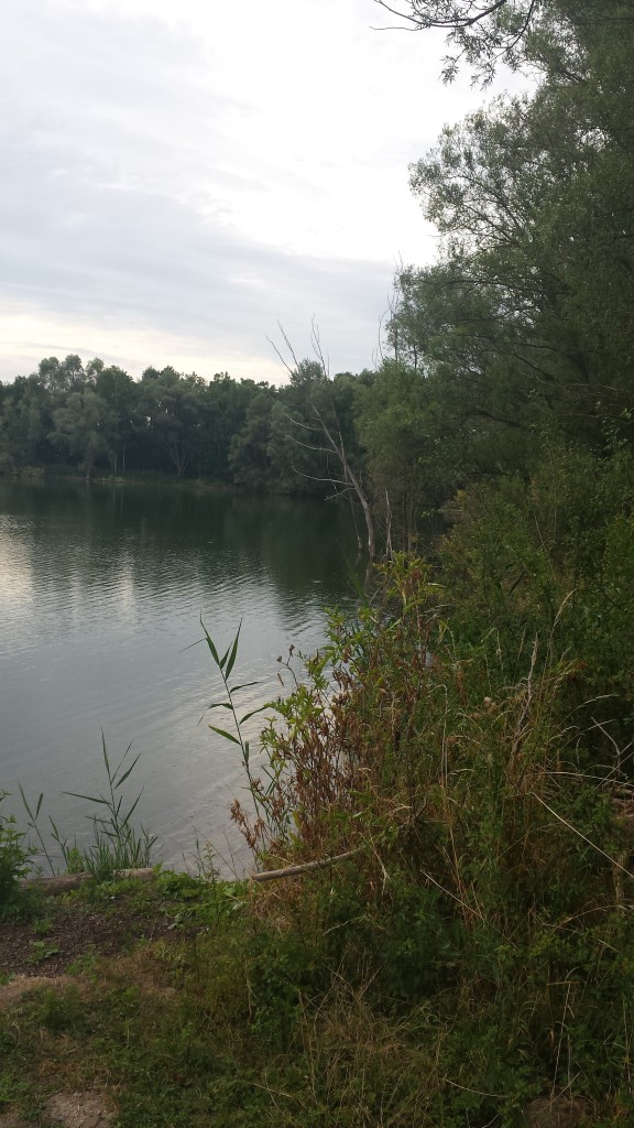 Und weil der Niederrheinsee so atemberaubend schön ist, musste ich dir einfach noch ein Bild von ihm zeigen