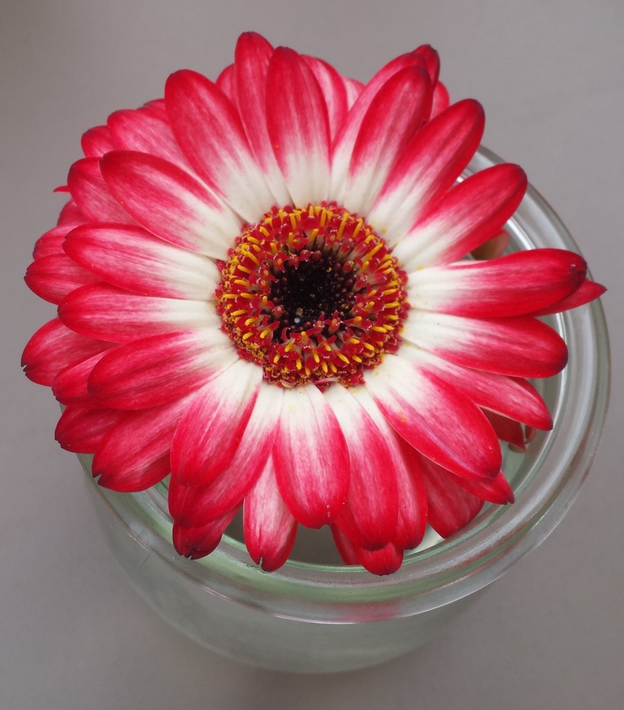 Blumige Tischdeko