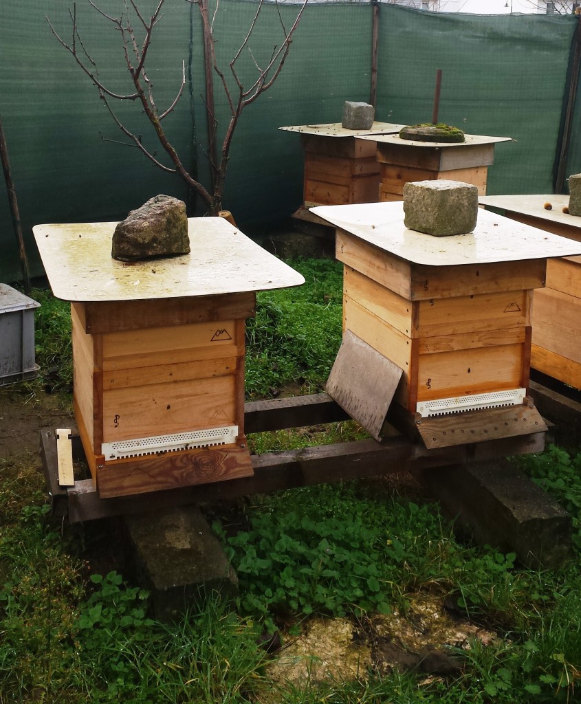 Bienen