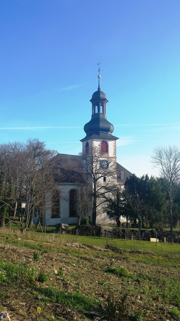 Martinskirche