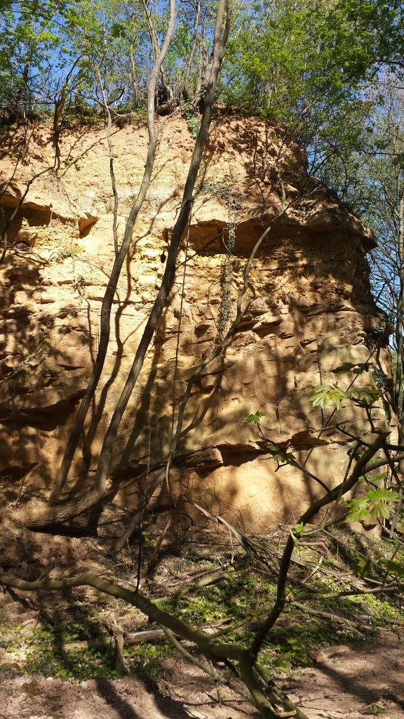 Steinbruch Flonheim Flonheim 3 Gründe, warum ich Rheinhessen liebe