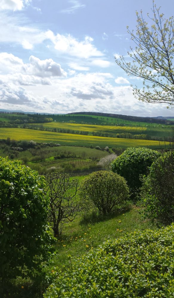 Kraftorte Rheinhessen 