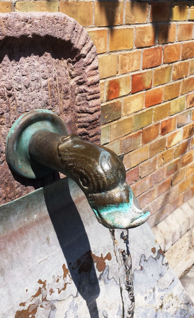 Schönes Detail: Brunnen mit Entenkopf