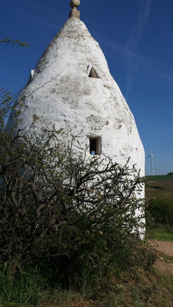 Ich bin ein Trullo (und was für ein Prachtexemplar!) Rheinhesse 