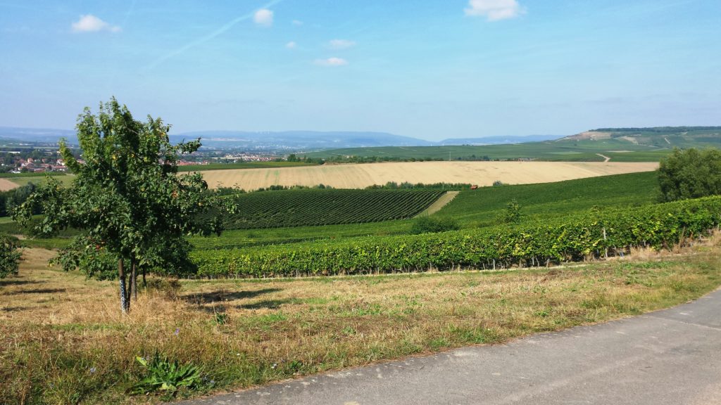 Rheinhessen
