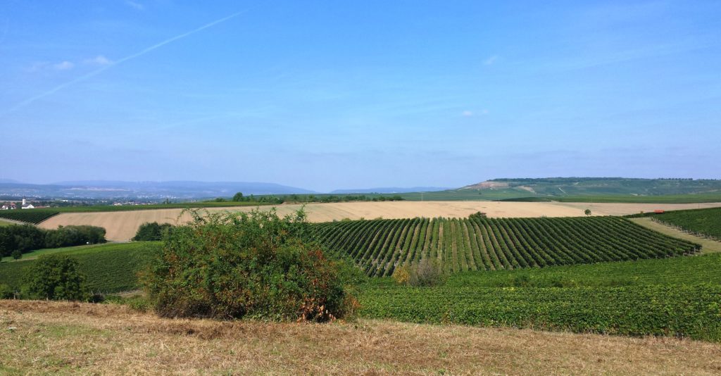 Herrlicher Panoramablick 2. Oder wie Herr Rheinhessenliebe sagen würde: En scheene Guck