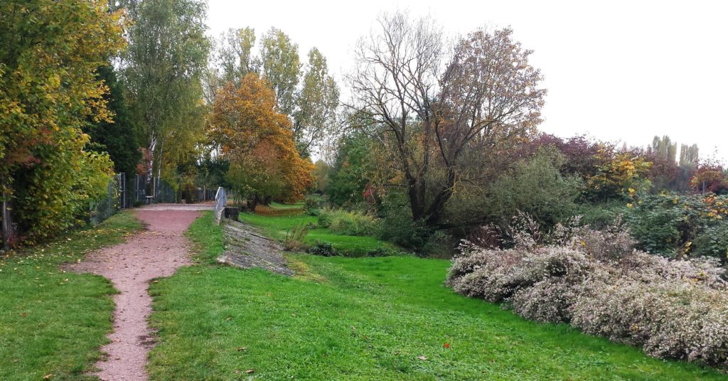 Selzen Rheinhessen