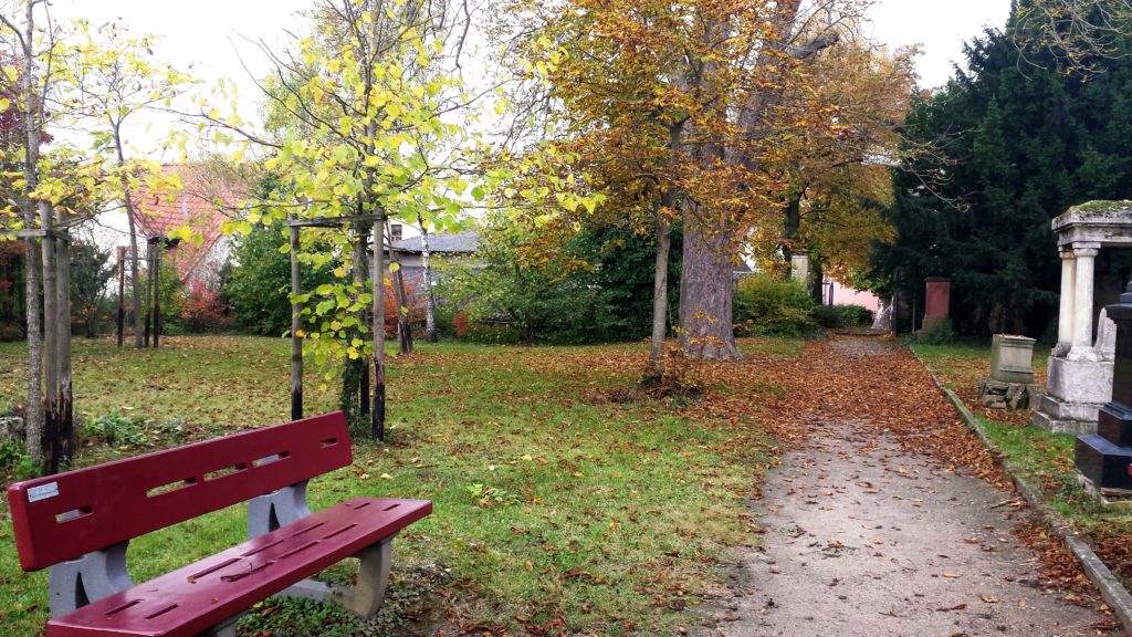 Selzen Rheinhessen