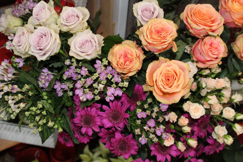 Welch Blumenpracht!