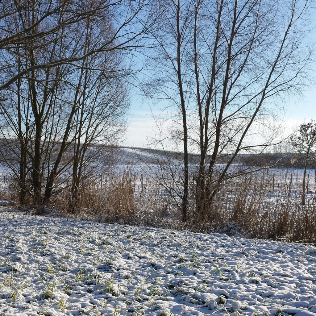 Rheinhessen Schnee Weihnachten Dezember 