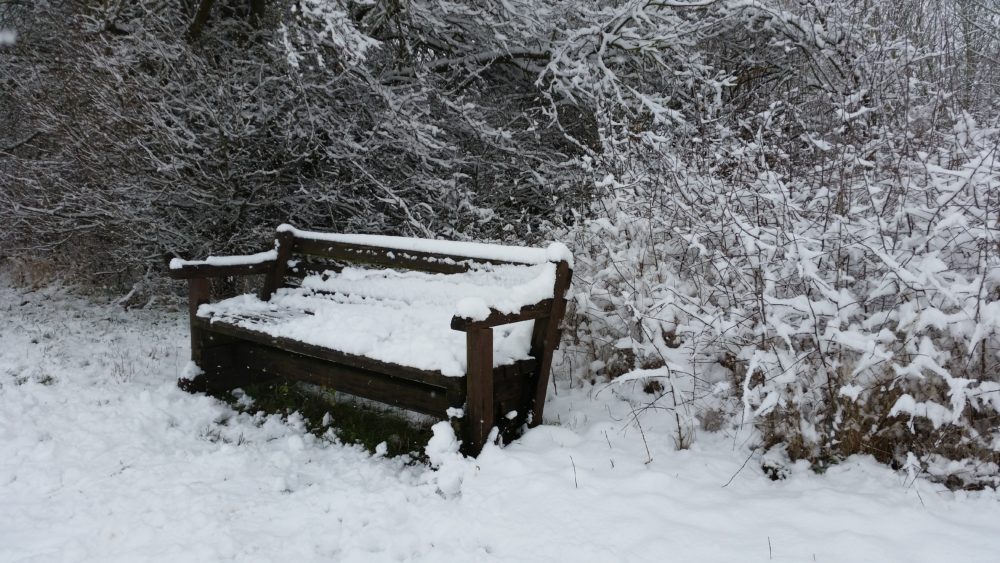 Schnee Winter Rheinhessen