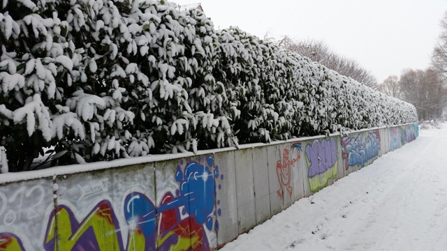 Schnee Winter Rheinhessen 