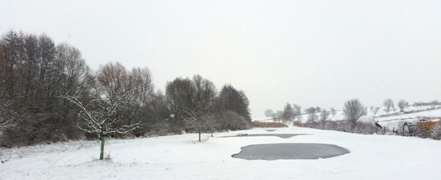 Rheinhessen, ein Wintermärchen Rheinhessen Winter