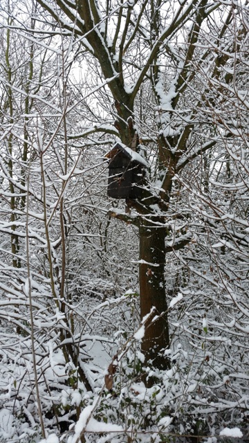 Rheinhessen Winter