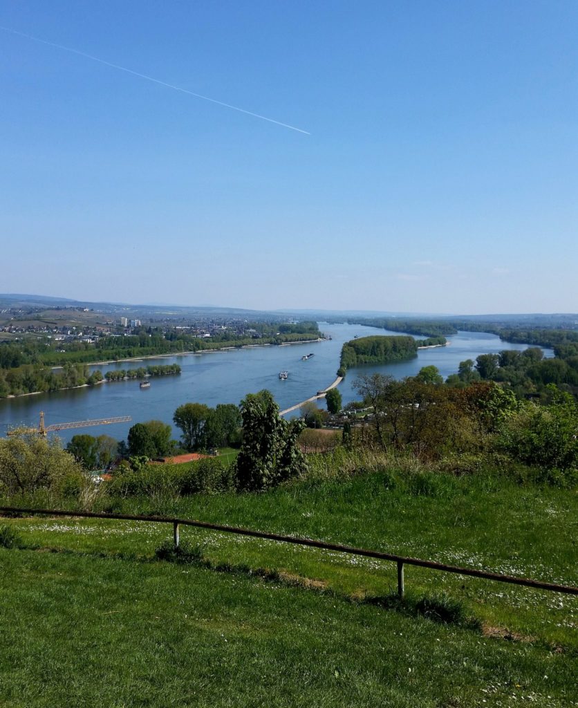 Herrlich: der Blick auf den Rhein mit seinen Inseln Rochusberg Hildegard von Bingen
