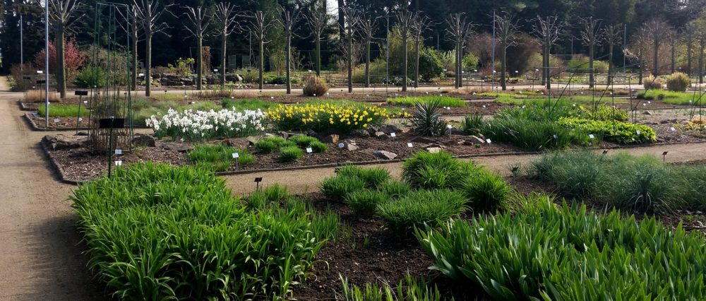 Botanischer Garten Mainz 