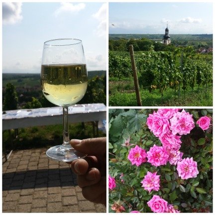 Die schönsten Veranstaltungen in Rheinhessen! Veranstaltungen in Rheinhessen