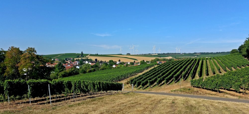 Alzeyer Land und Rheinhessische Schweiz