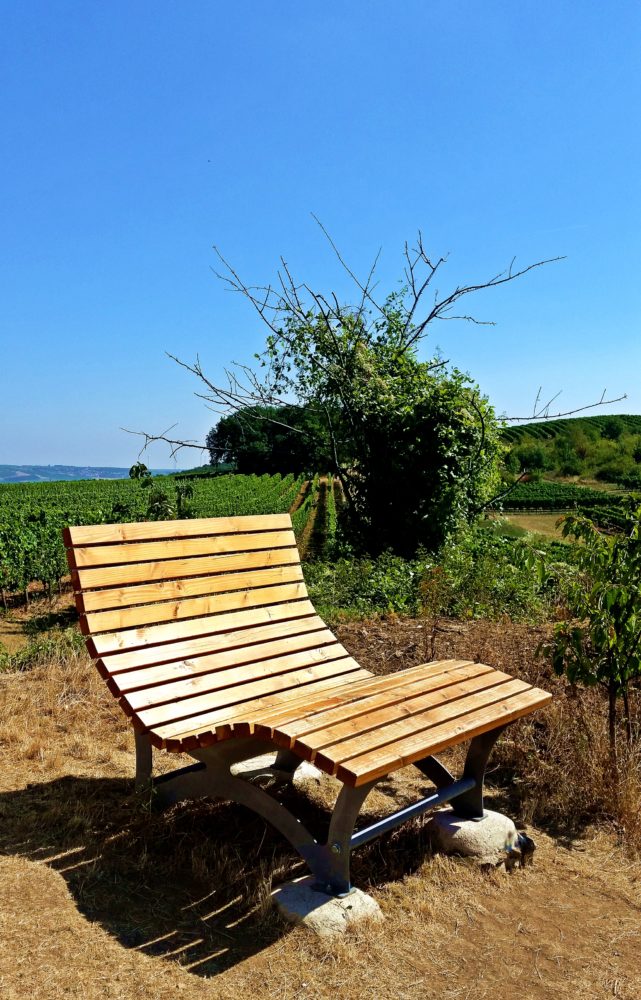 Rheinhessische Schweiz Alzeyer Land Flonheim Trullo Liege Weinberge