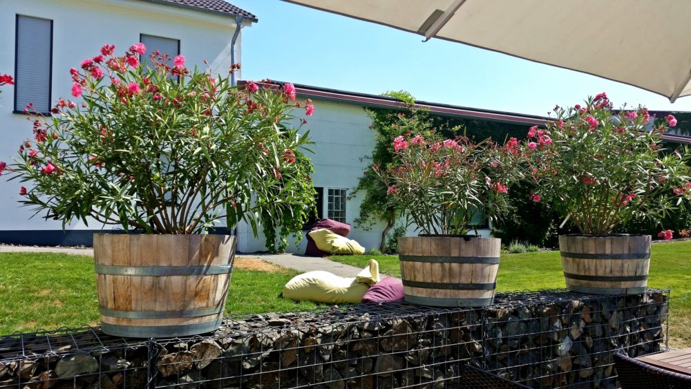Weingut Meyerhof Flonheim