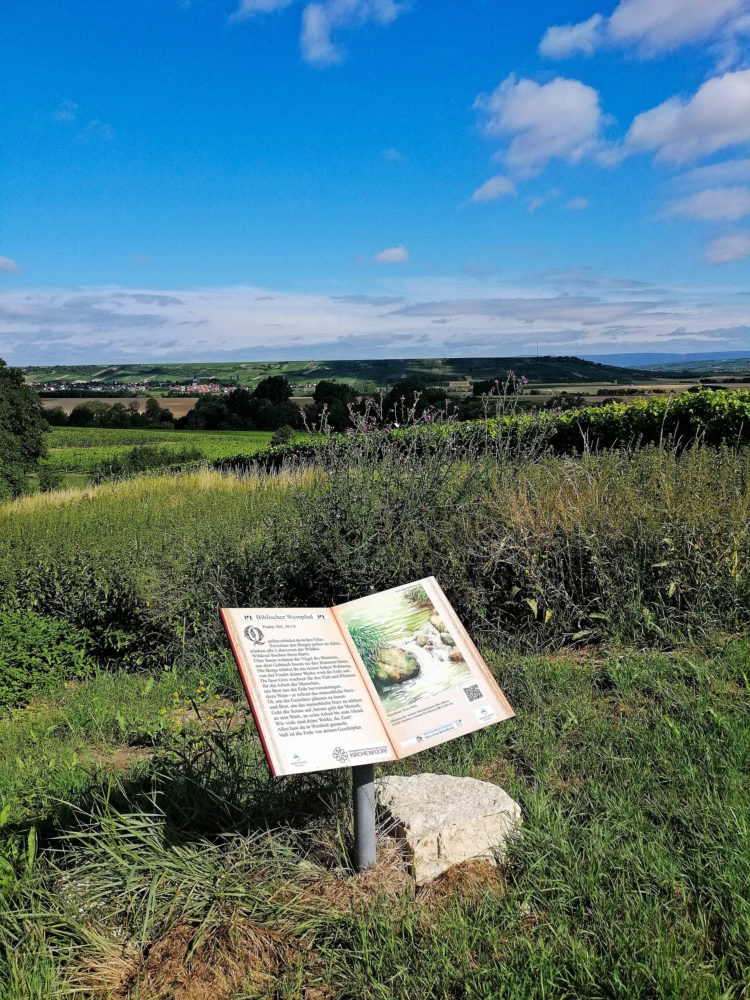 Schild auf dem biblischen Weinpfad Partenheim