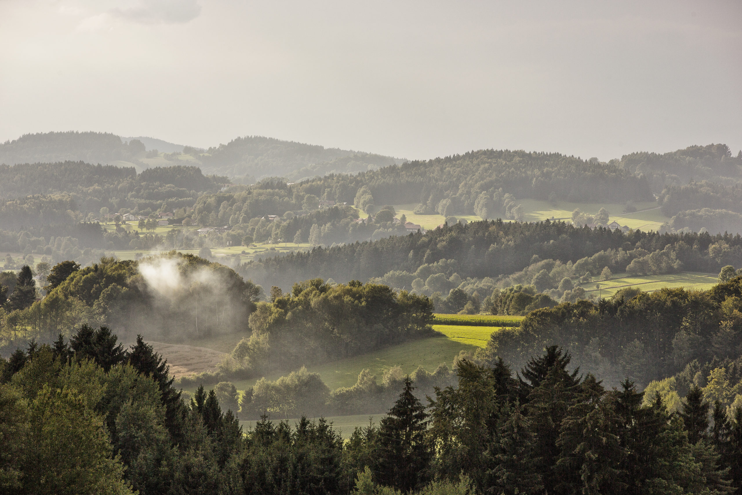 Bayerischer Wald