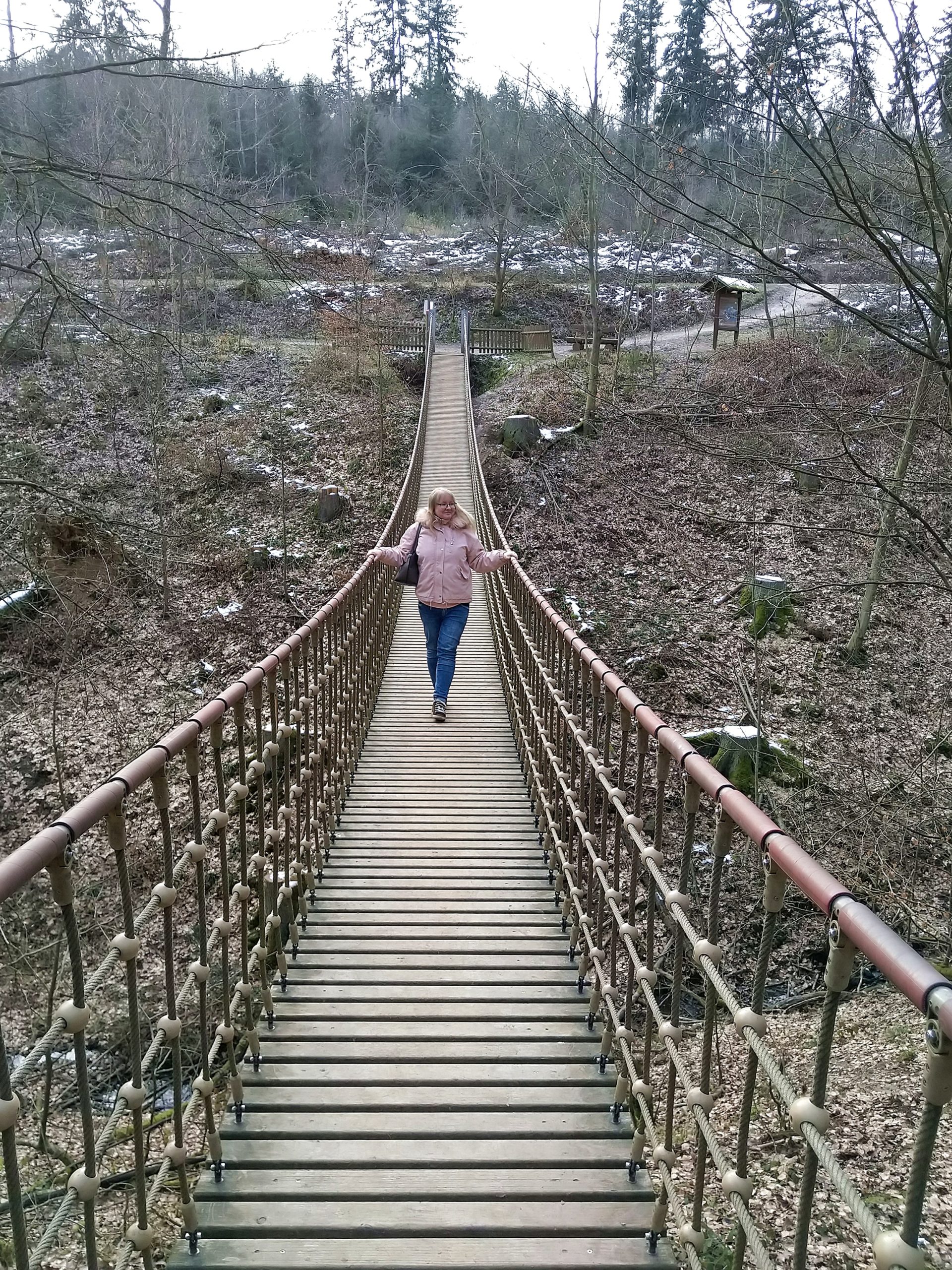 Erlebnispfad Binger Wald Hängebrücke