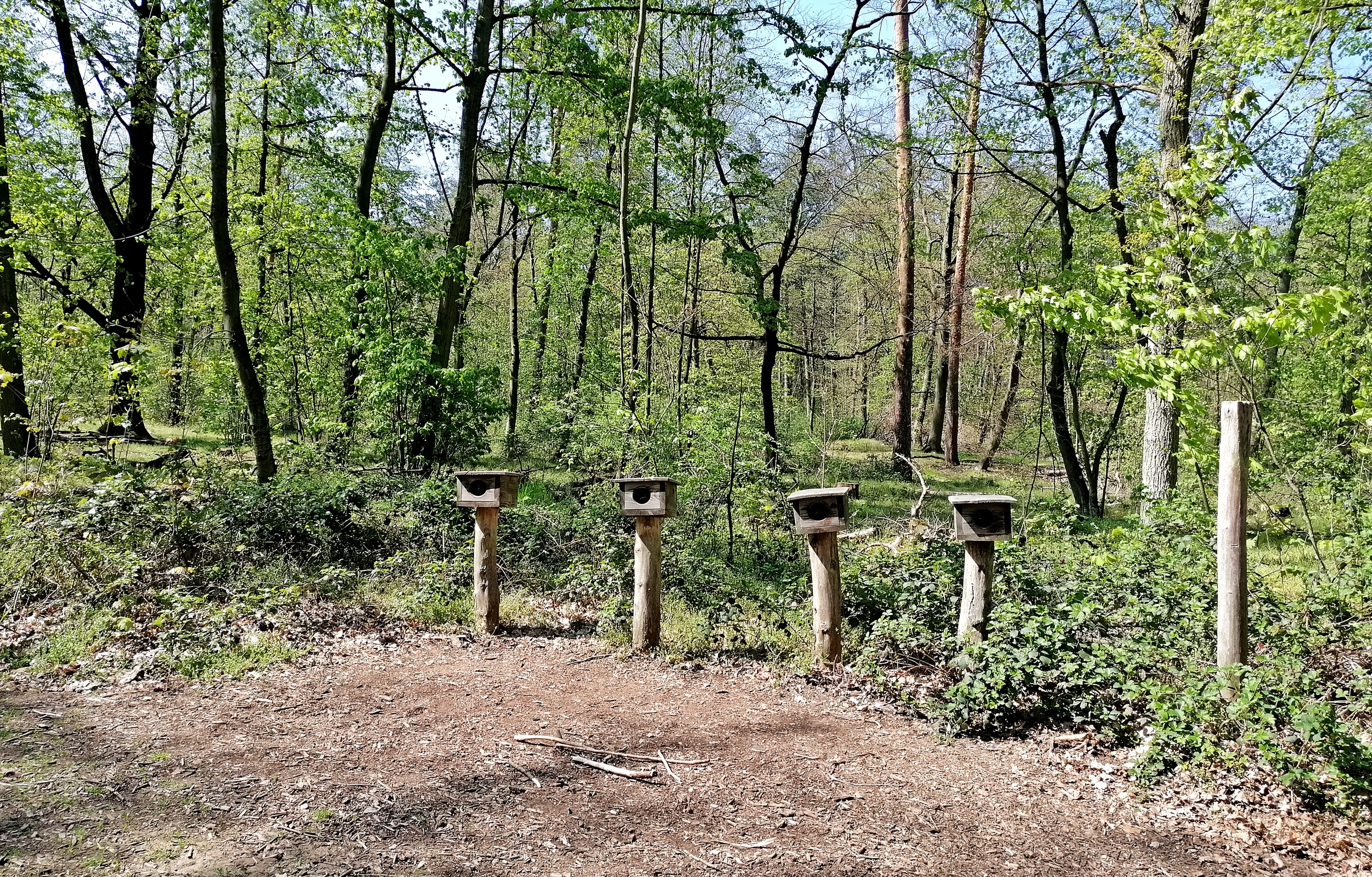 Tastkästen Lennebergwald Mainz 