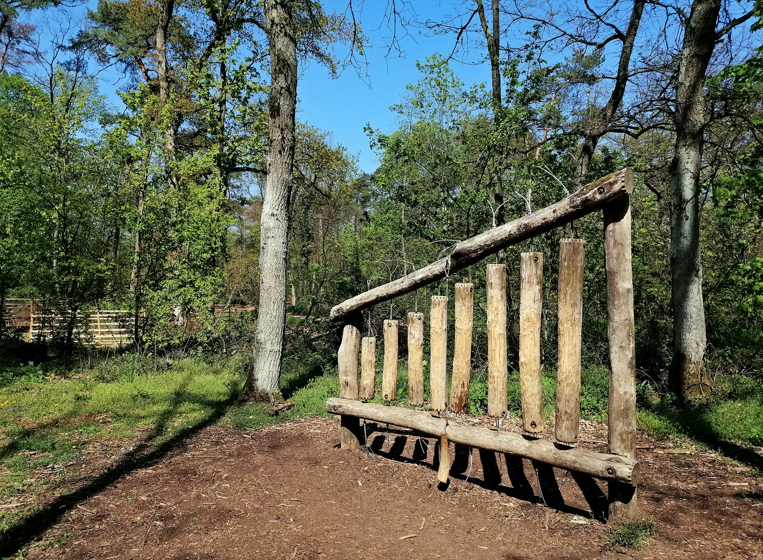 Walderlebnispfad Lennebergwald Mainz