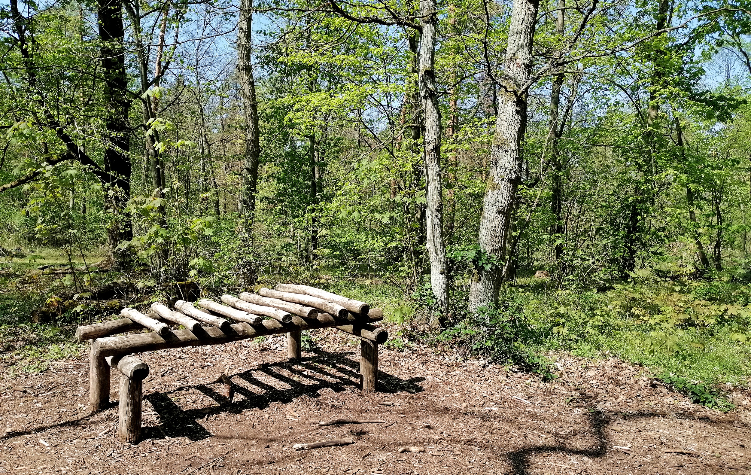 Walderlebnispfad Lennebergwald Mainz Waldxylophon
