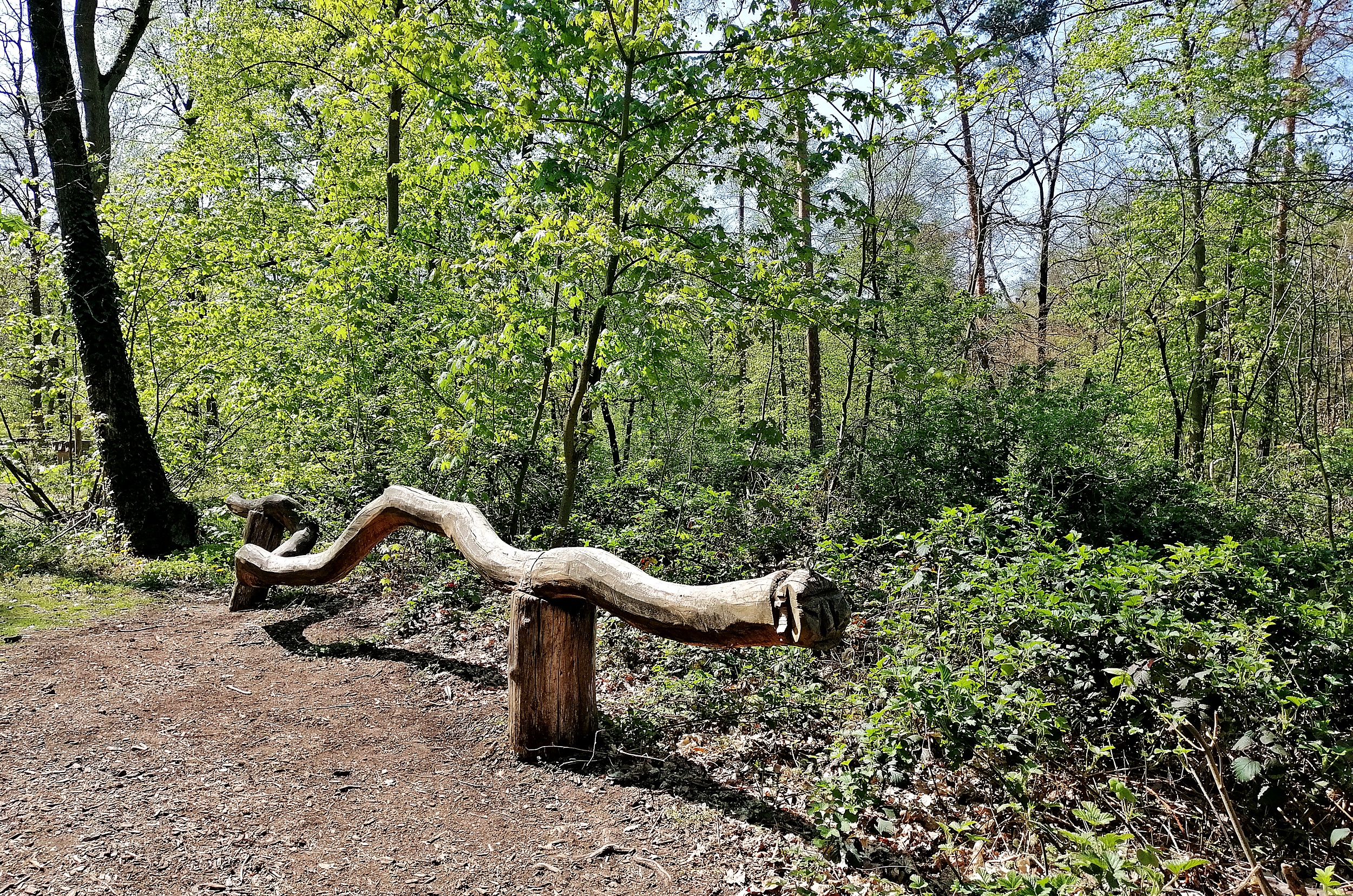 Walderlebnispfad Lennebergwald Mainz