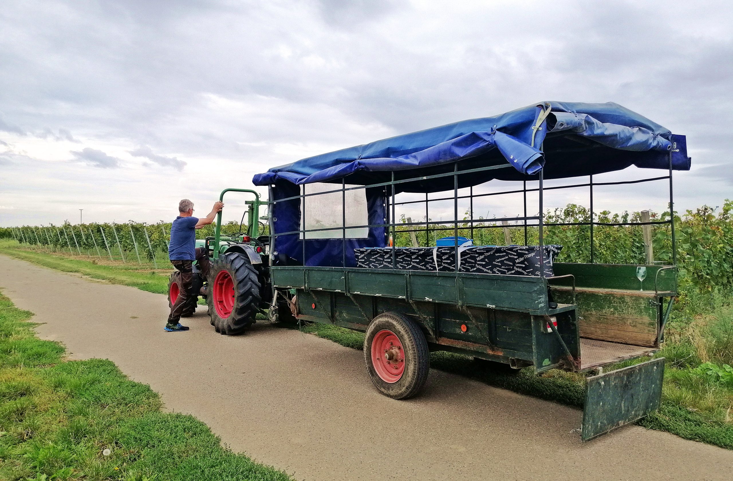 Weinbergsrundfahrt Rheinhessen genießen