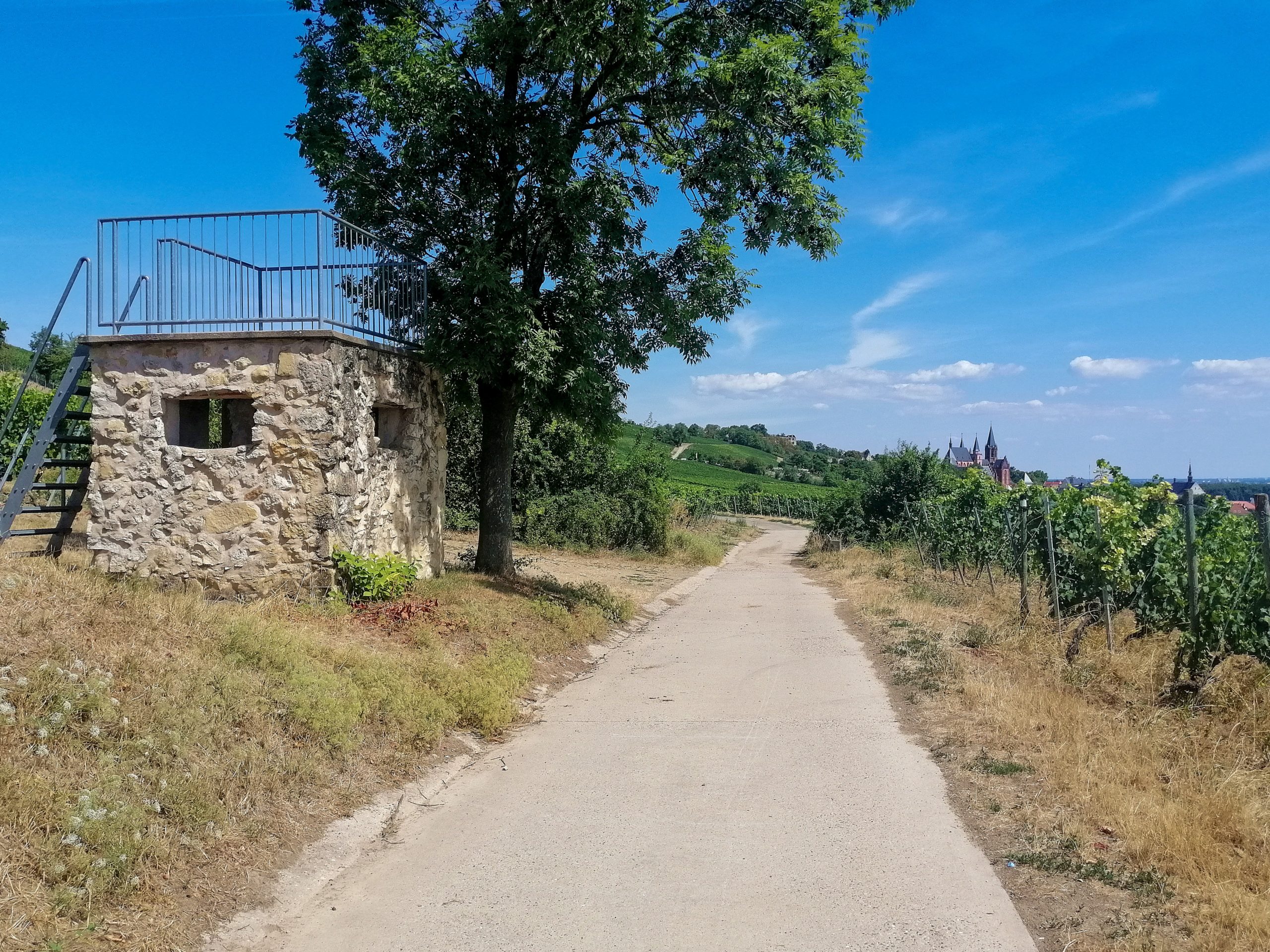 Weinbergshäuschen am Frikadellenbäumchen Oppenheim am Rhein