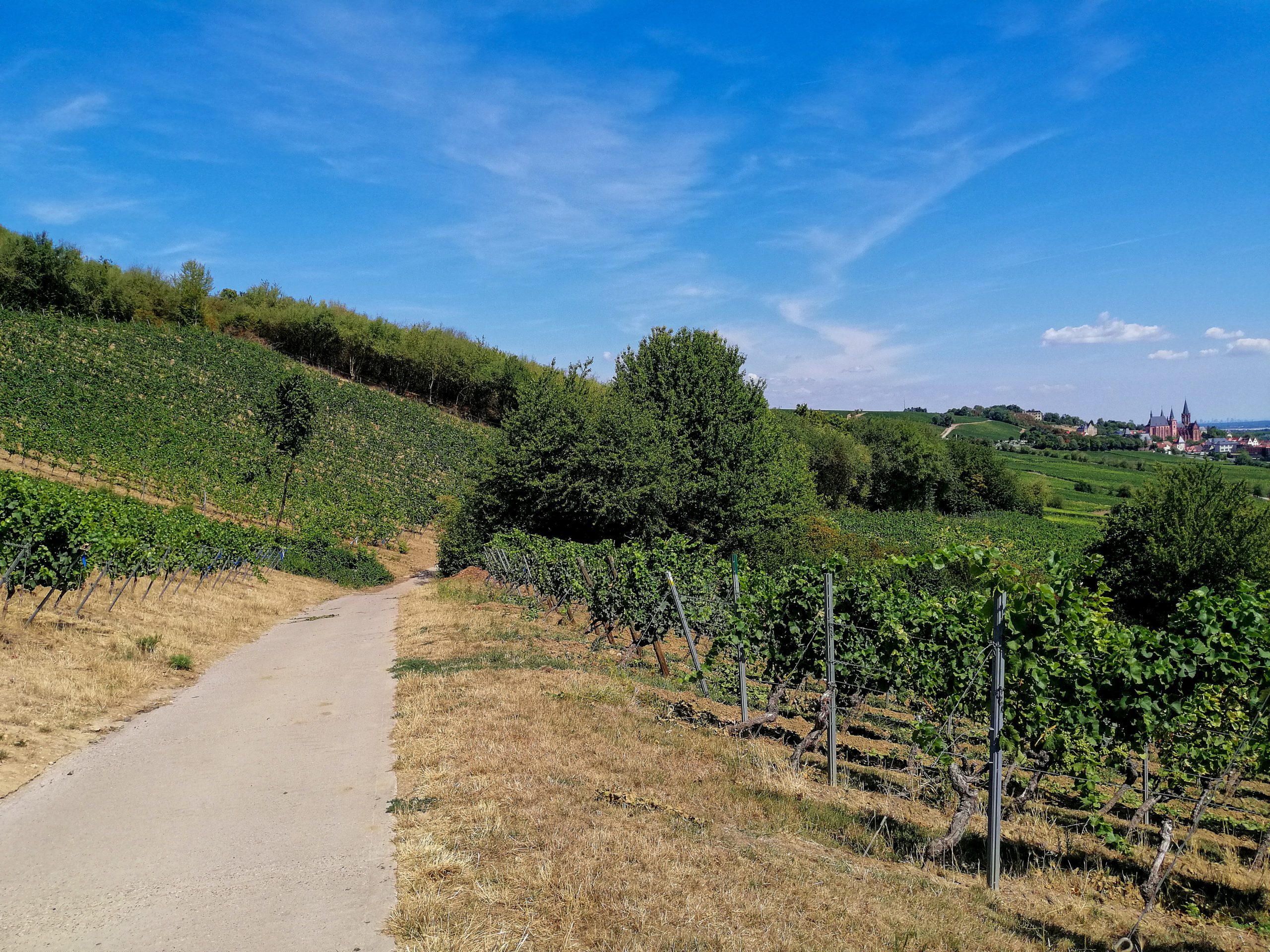 Weinerlebnisweg Krötenbrunnen Oppenheim am Rhein
