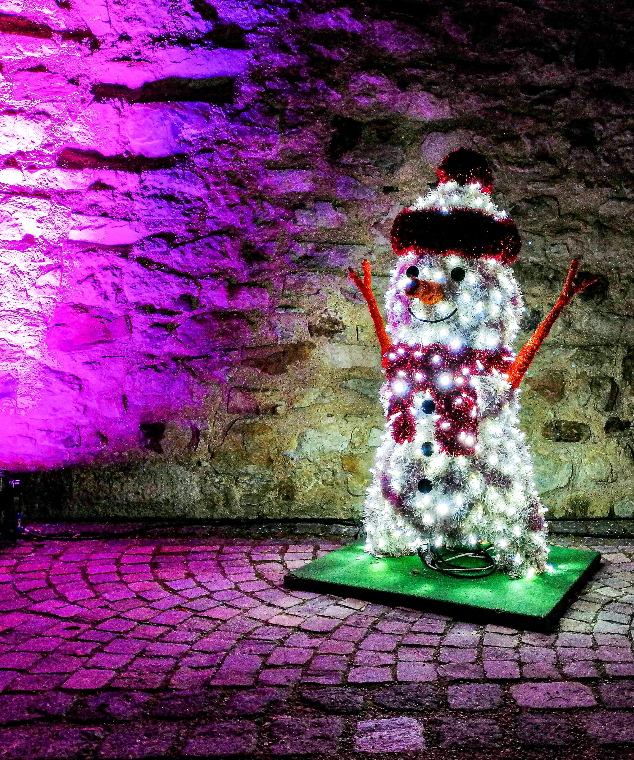 Christmas Garden Koblenz in der Region Romantischer Rhein