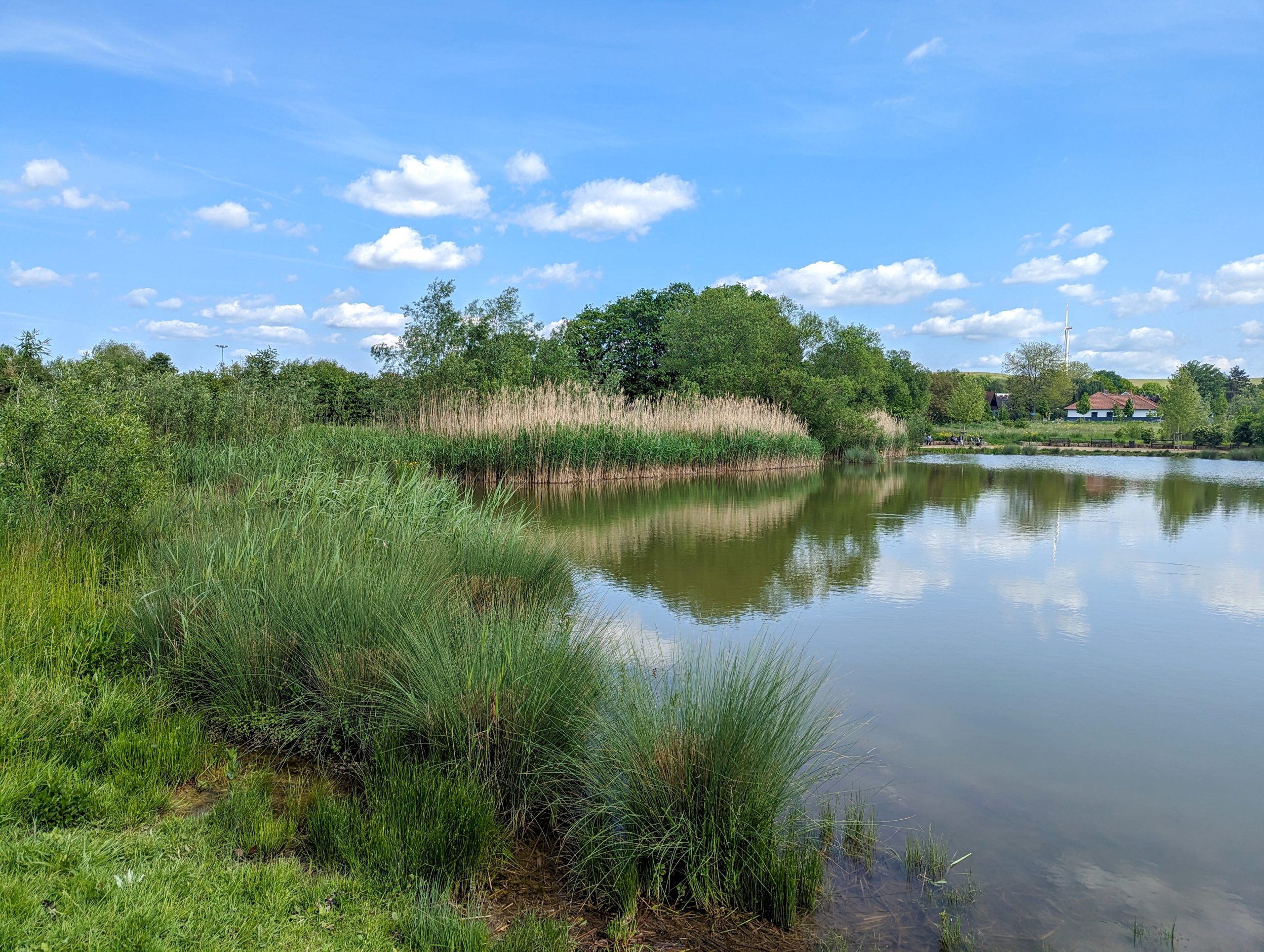 Ausflugsziel Rheinhessen: Mühlbachaue