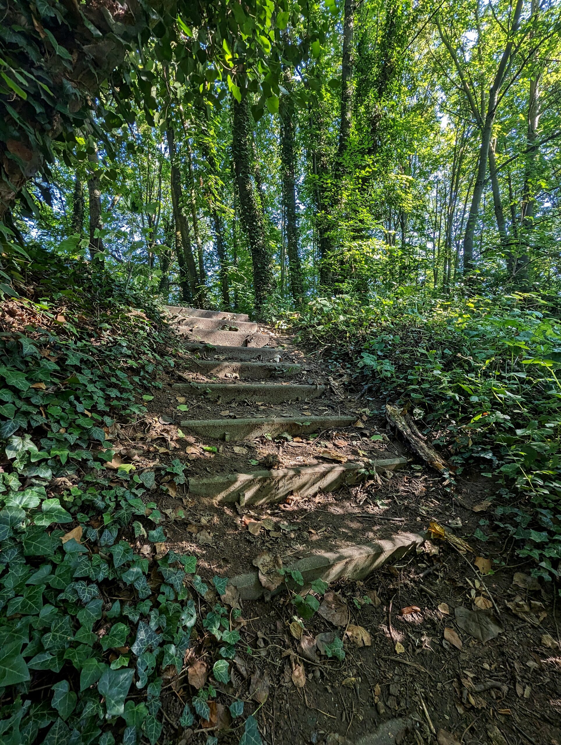 Nachtigallental Rheinhessen