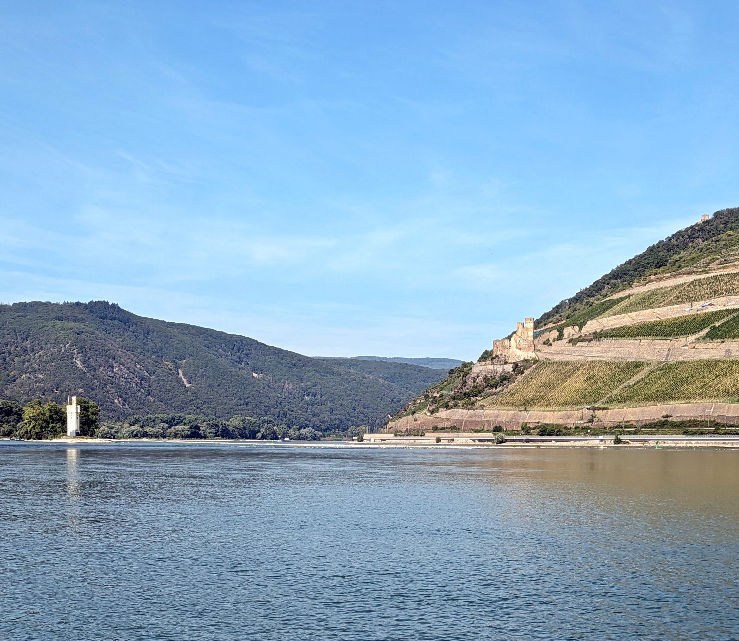 Sehenswürdigkeiten in Rheinhessen Binger Mäuseturm