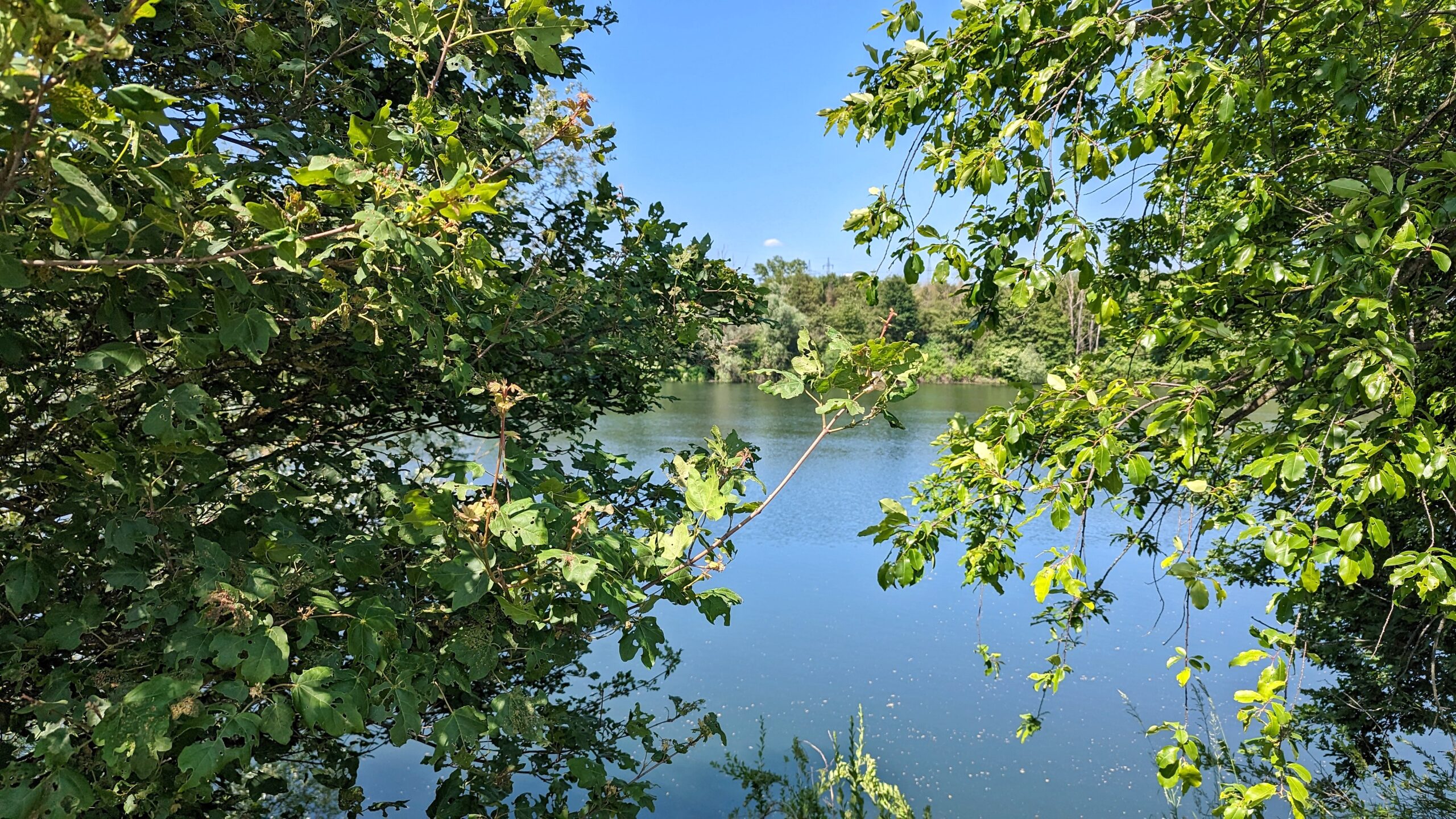 Ausflugsziele Rhein-Main-Gebiet 