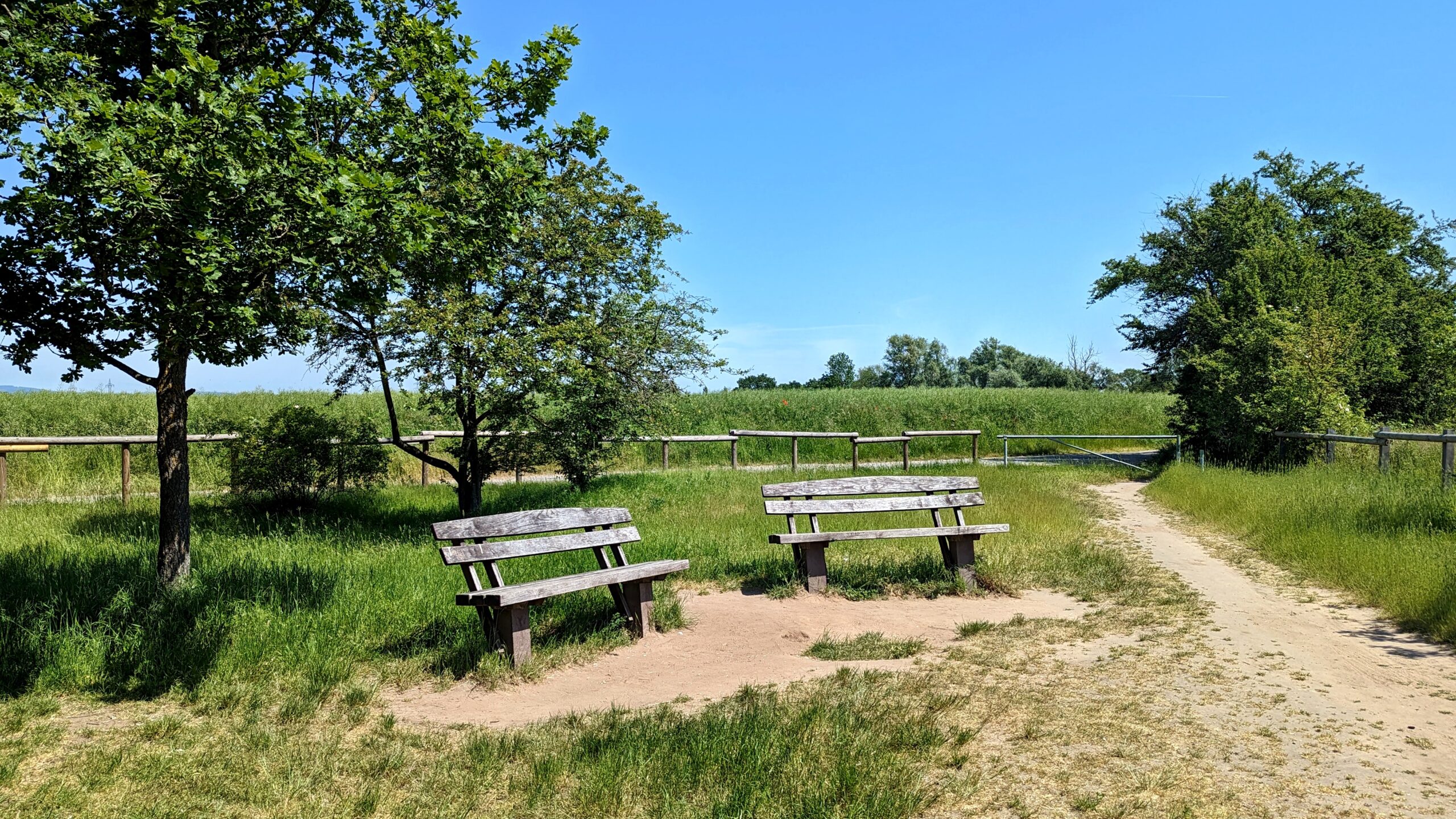 Schwanheimer Düne