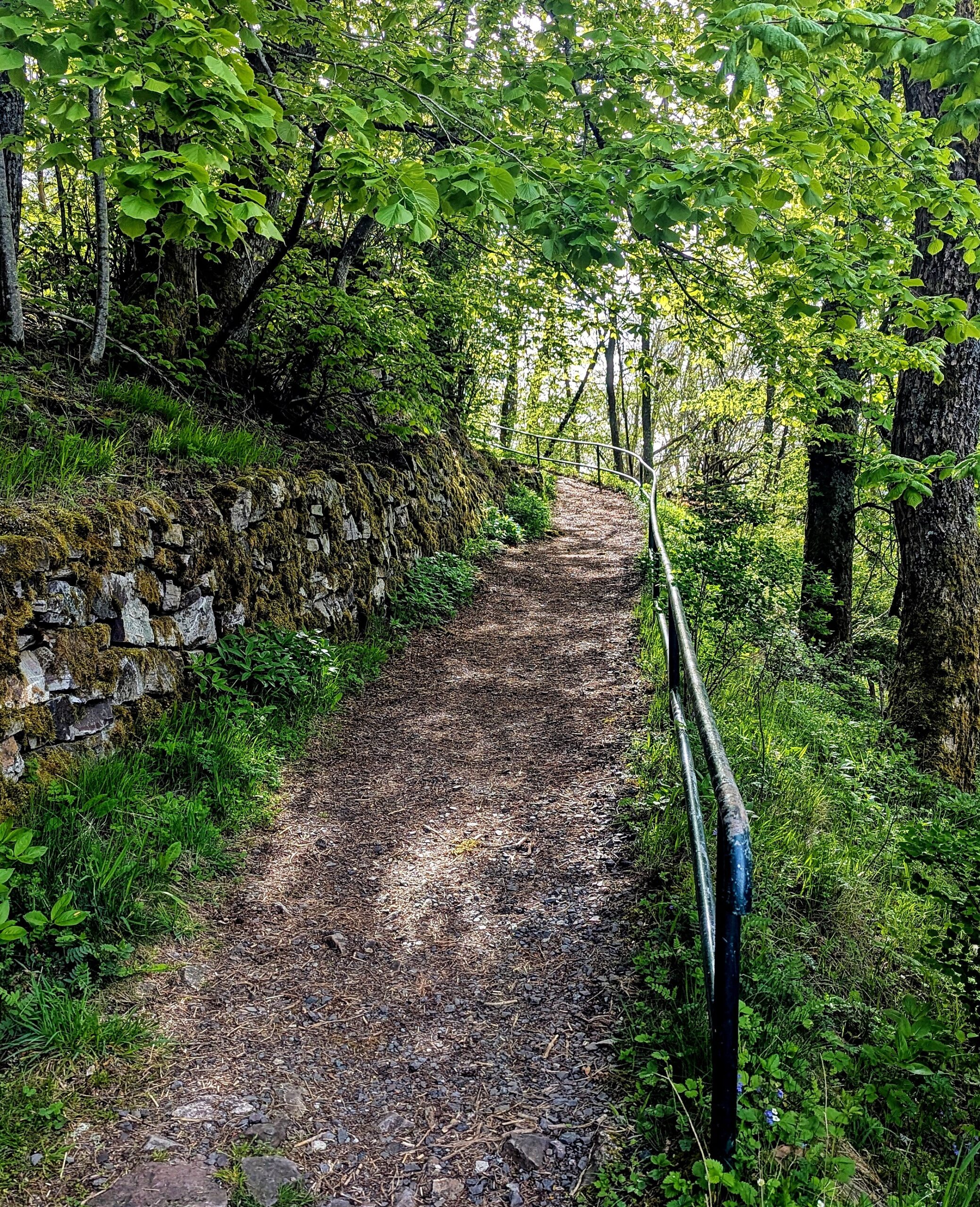 Burgen und Schlösser im EdelSteinLand. Spaziergang bei der Wildenburg
