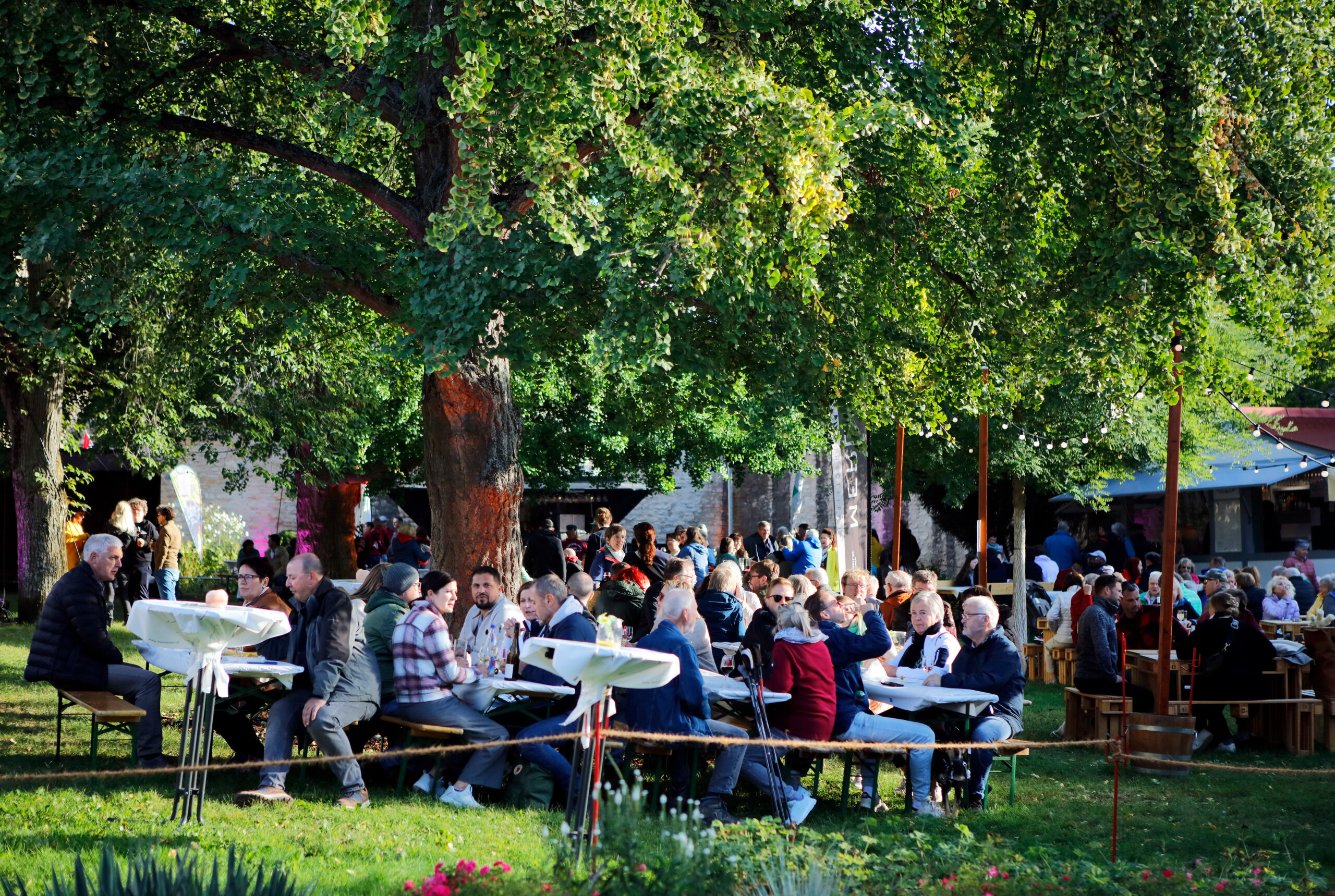 Ingelheimer Rotweinfest Veranstaltungen Rheinhessen