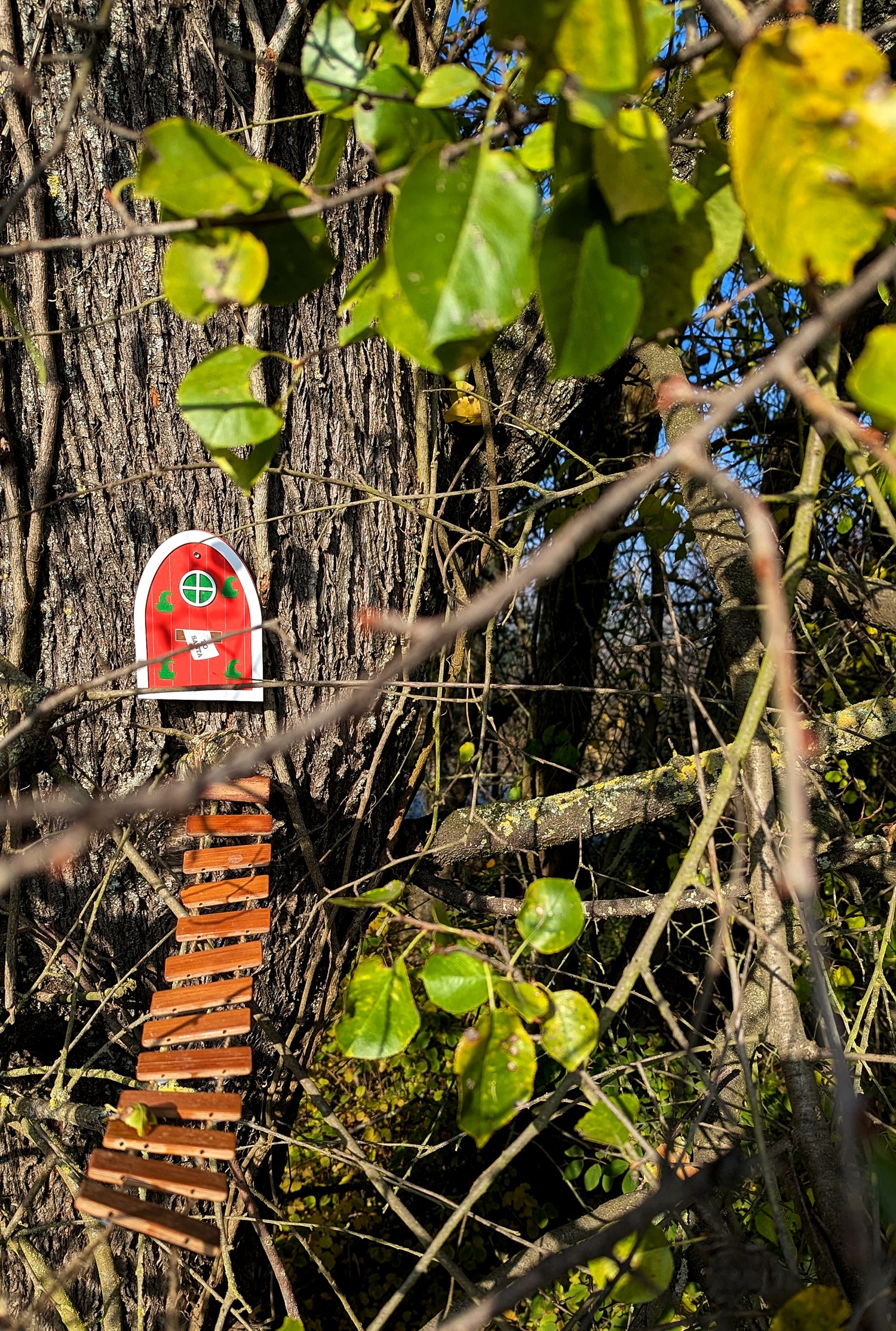 Wichtelwanderweg Westhofen Rheinland-Pfalz 
